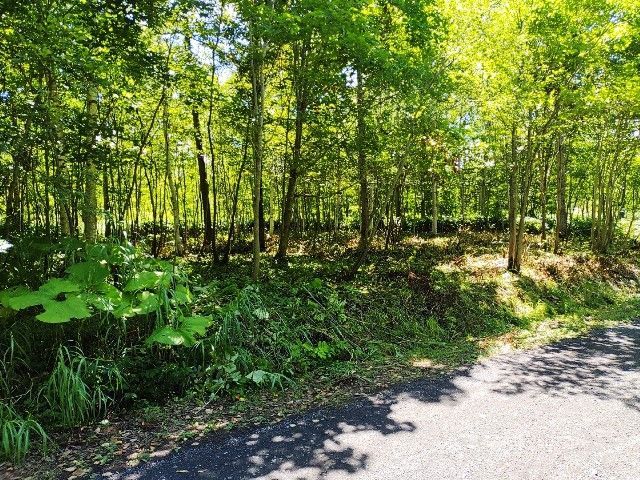 SILENTLAND Kondo SPECIAL 200 Land for Sale in Niseko, Hokkaido - Thumbnail 2