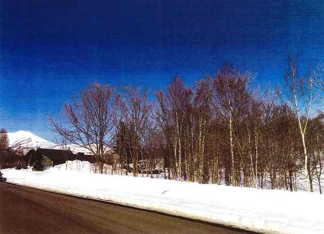 12,972 sqm Development Land for Sale in Niseko, Hokkaido - Thumbnail 2