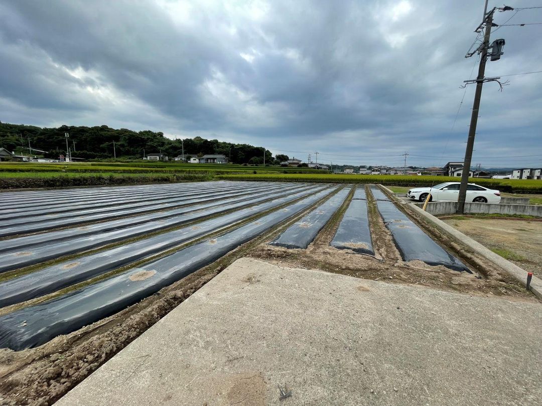 2215 sqm Land Plot in Unzen City, Nagasaki Prefecture - Thumbnail 3