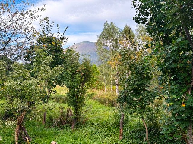 Land for Sale in Niseko with Mount Yotei Views - 1,506 sqm - Thumbnail 4