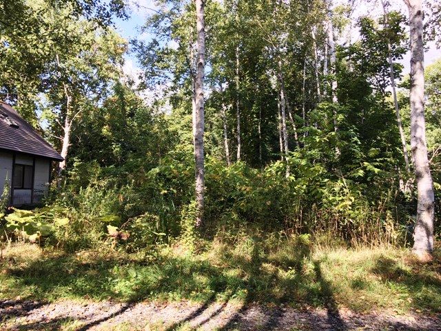 Land for Sale in Niseko - PureLand Kondo II 100 Plot - Thumbnail 4