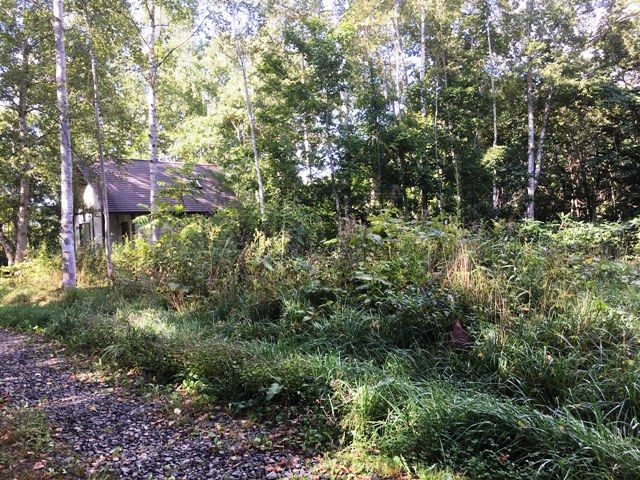 Land for Sale in Niseko - PureLand Kondo II 100 Plot - Thumbnail 3