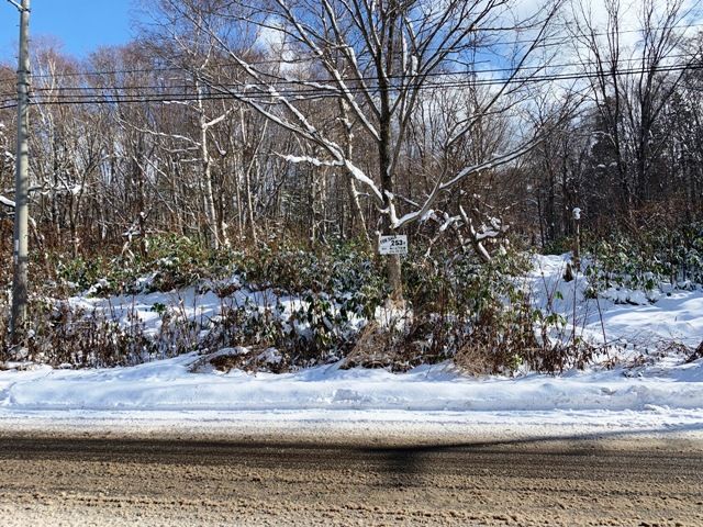 838 sqm Land for Sale on Route 5 in Niseko, Hokkaido - Thumbnail 2