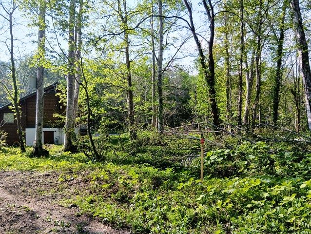 Land for Sale in Niseko Rankoshi - HighGrade Villa Yuri 102 - Thumbnail 4