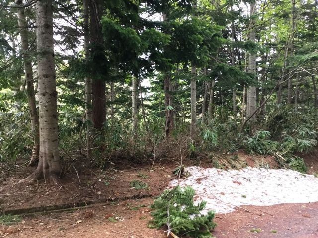 Land for Sale in Niseko Doctors Village, Rankoshi, Hokkaido - Thumbnail 2
