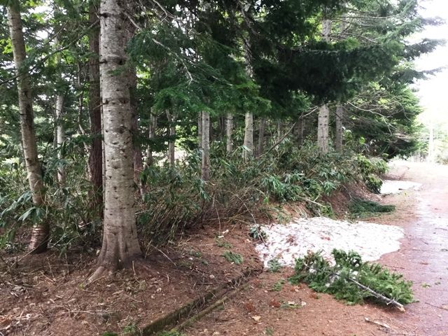 Land for Sale in Niseko Doctors Village, Rankoshi, Hokkaido - Thumbnail 4