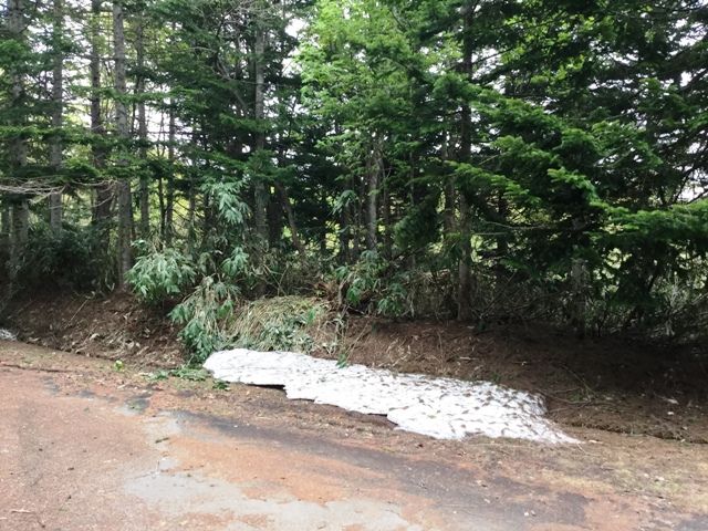 Land for Sale in Niseko Doctors Village, Rankoshi, Hokkaido - Thumbnail 3