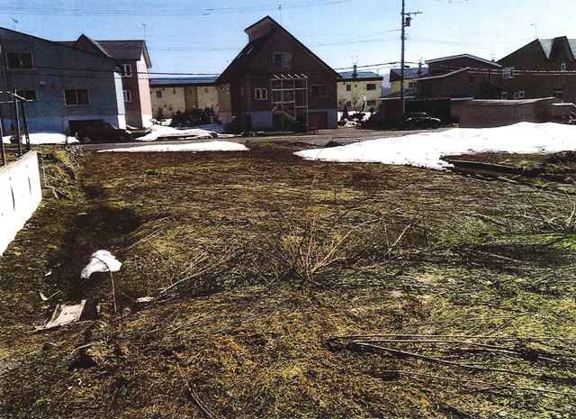 Premium Land for Sale in Niseko with Mount Annupuri Views - Thumbnail 3