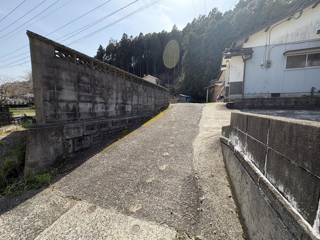 Land for Sale in Saza Town Nagasaki 347.59 sqm - Thumbnail 3