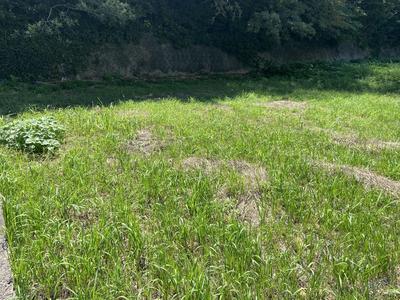 Ocean View Land for Sale in Matsuura, Nagasaki — Image 4, Matsuura, Nagasaki