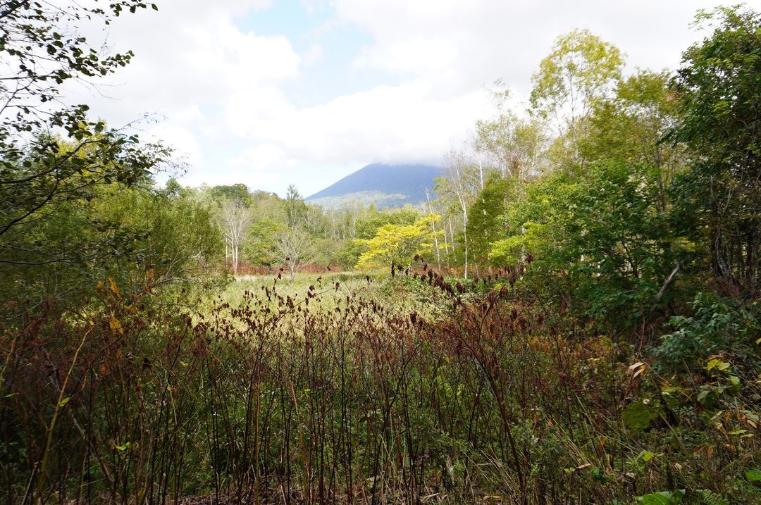 Land for Sale in Makkari, Hokkaido with Mount Yotei Views - Thumbnail 2