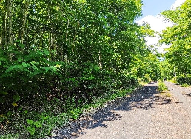 SILENTLAND Yurari 501 Land for Sale in Rankoshi, Hokkaido - Thumbnail 4