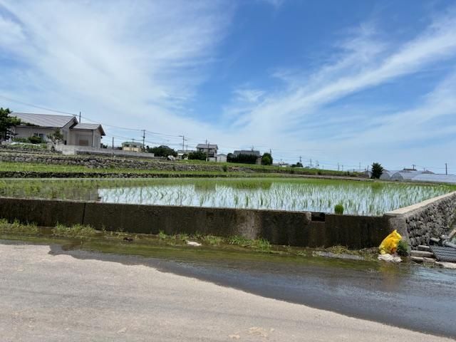 Land for Sale in Shimabara, Nagasaki - 1,773 sqm Plot - Thumbnail 2