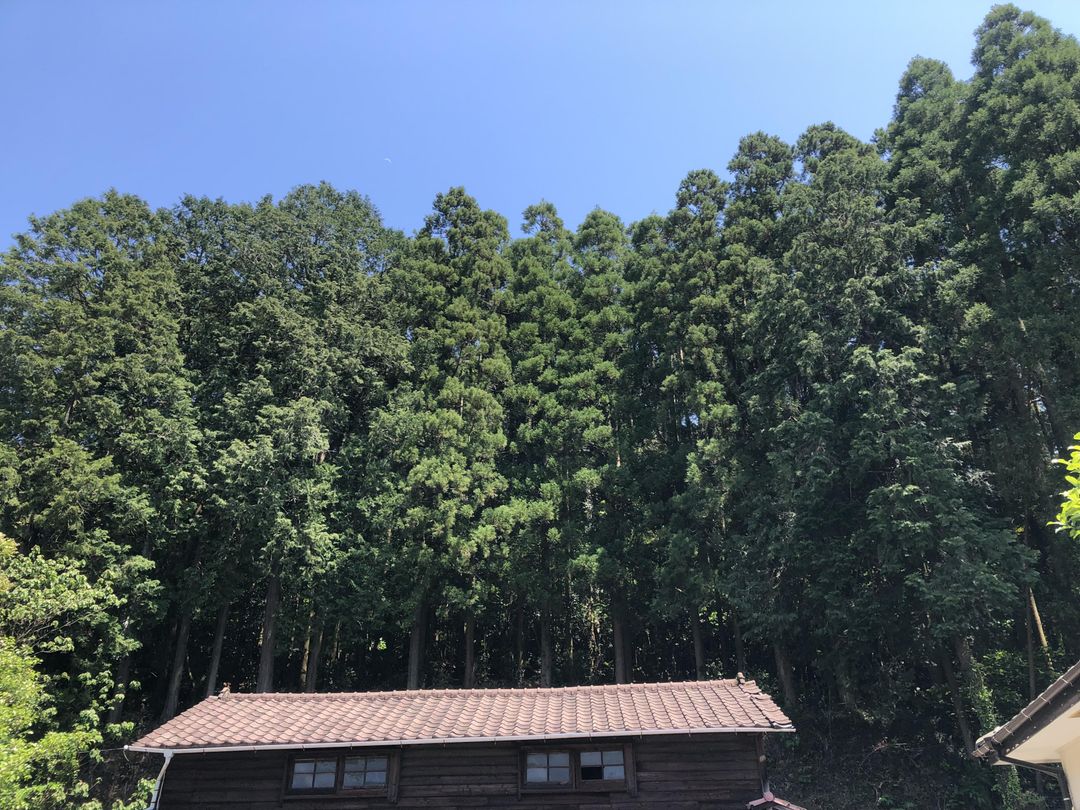 Spacious 5DK House with 995 sqm Land in Isahaya, Nagasaki - Thumbnail 3