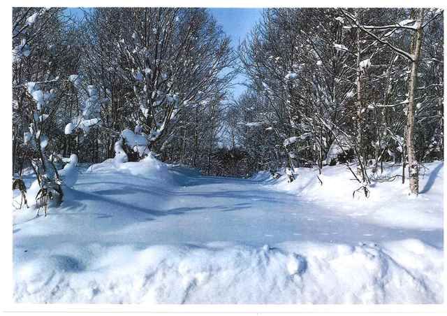 Land for Sale in Niseko's North Village Kondo - 351 sqm Plot - Thumbnail 2