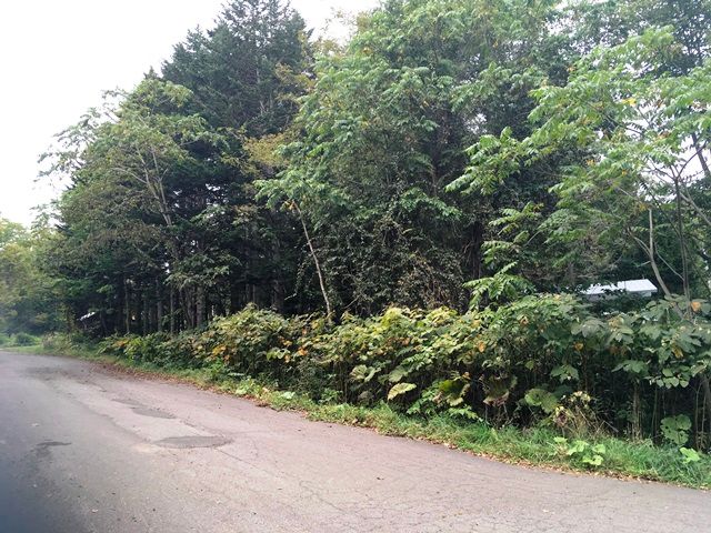 Land for Sale in Niseko's Yuri Hot Spring Area - HighGrade Villa - Thumbnail 4