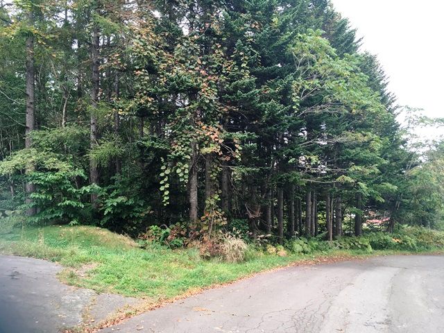 Land for Sale in Niseko's Yuri Hot Spring Area - HighGrade Villa - Thumbnail 3