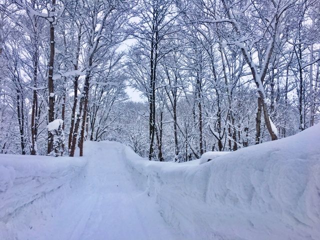 Land for Sale in Niseko - 1205 sqm Plot in Soga, Hokkaido - Thumbnail 4