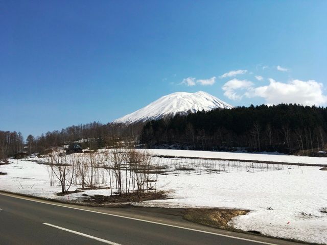 Niseko Land for Sale with Mount Yotei Views - 2,062 sqm Plot - Thumbnail 3