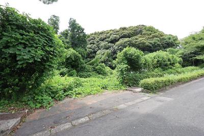 Spacious Land for Sale in Hasami, Nagasaki — Land, Hasami, Nagasaki