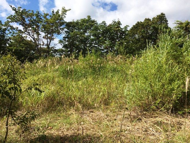 SlopeLand Niseko 2,000 Land for Sale in Hokkaido Resort Area - Thumbnail 2