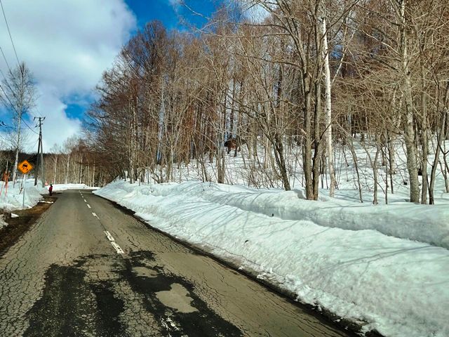 Land for Sale in Rankoshi, Niseko - HighGrade Villa Yuri Plot - Thumbnail 3