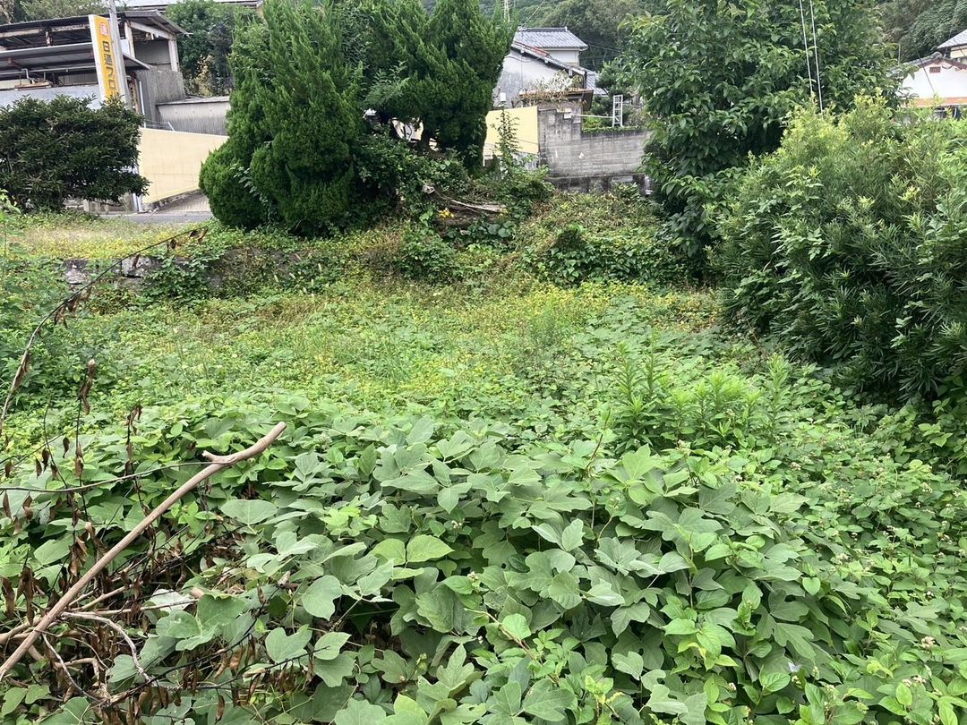 Land for Sale in Obama-cho, Unzen City, Nagasaki - 305 sqm - Thumbnail 2