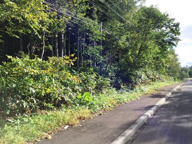 9,429 sqm Forest Land for Sale in Rankoshi, Hokkaido - Thumbnail 2