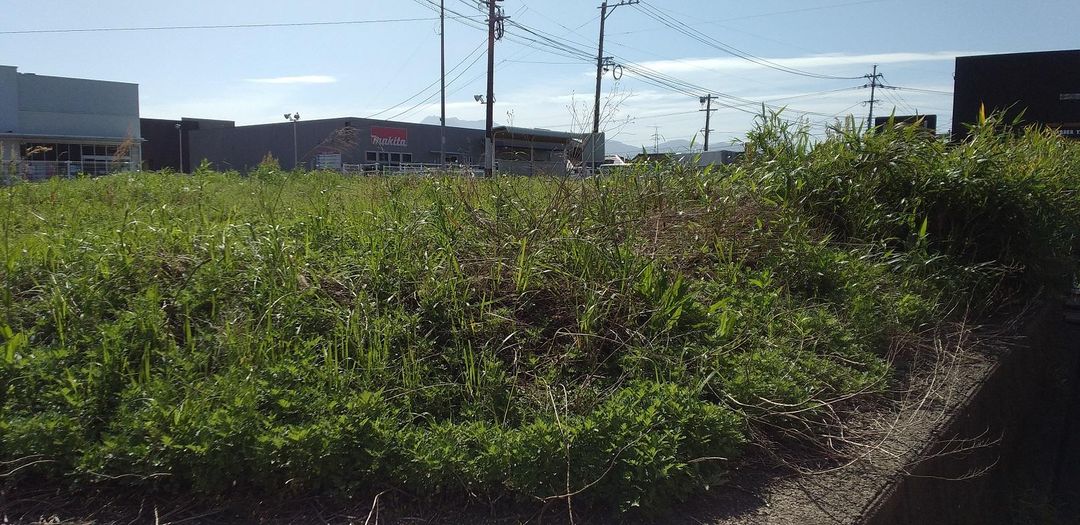 Land for Sale in Isahaya, Nagasaki - 249.65 sqm Plot - Thumbnail 4