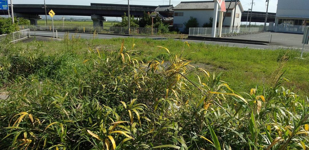 Land for Sale in Isahaya, Nagasaki - 249.65 sqm Plot - Thumbnail 2