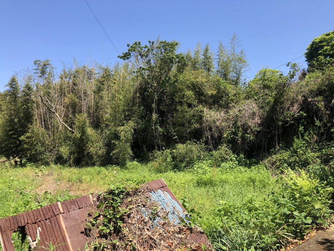 Land for Sale in Unzen City, Nagasaki - 1074 sqm - Thumbnail 3