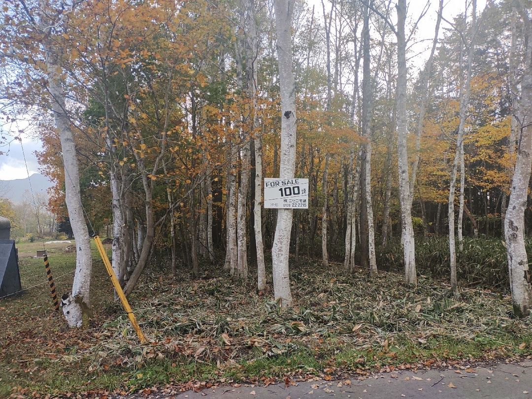 Land for Sale in Niseko with Mount Yotei Views | 331 sqm - Thumbnail 4