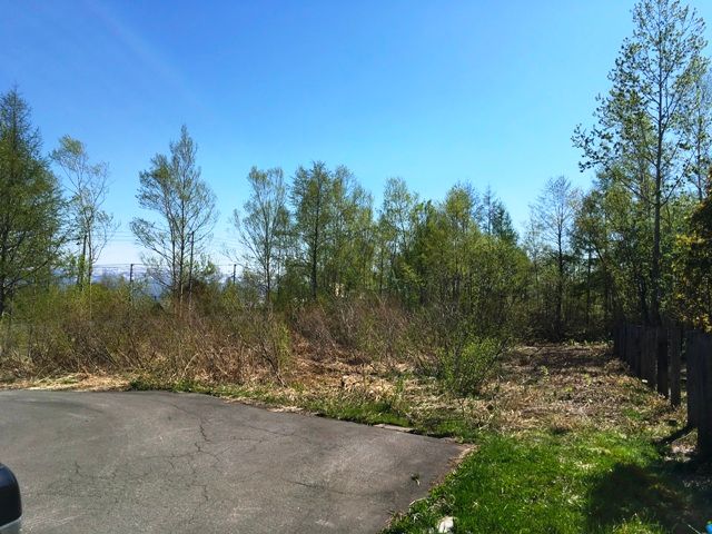 Land for Sale in Niseko Holiday Land with Mount Yotei View - Thumbnail 2