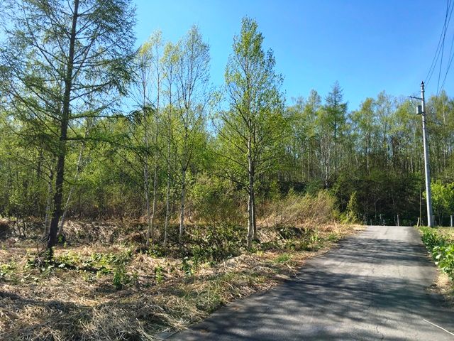 Land for Sale in Niseko Holiday Land with Mount Yotei View - Thumbnail 3