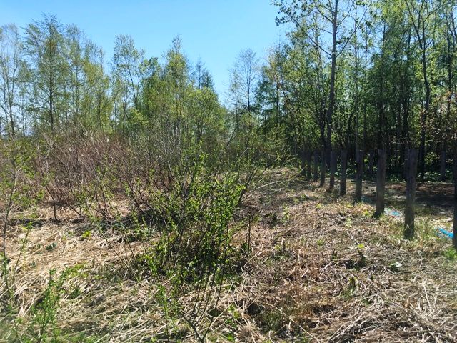 Land for Sale in Niseko Holiday Land with Mount Yotei View - Thumbnail 4