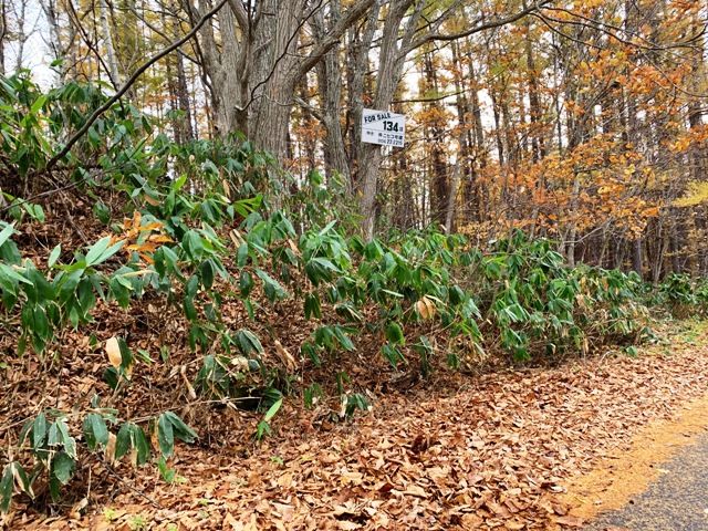 Land for Sale in Rankoshi, Niseko - HighGrade Villa Yuri 134 - Thumbnail 2