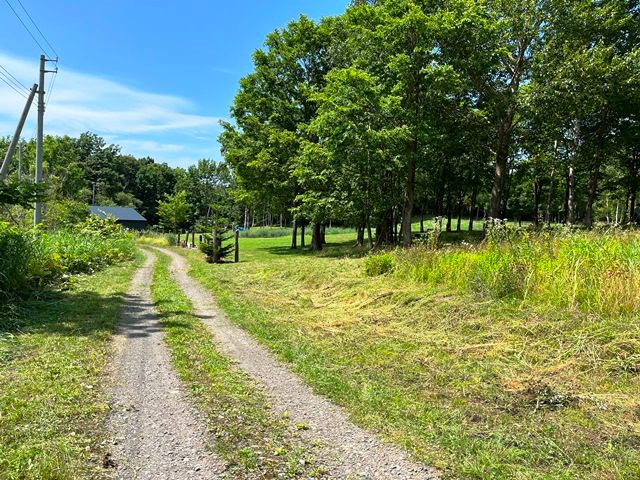 Land for Sale in Niseko - 1,030 sqm Parcel on Private Road - Thumbnail 3