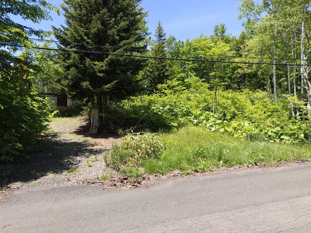 Land for Sale in Niseko's Yuri Area - 728 sqm Plot with Private Water - Thumbnail 2
