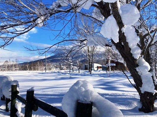 667 sqm Land for Sale in Niseko with Mount Yotei Views - Thumbnail 3
