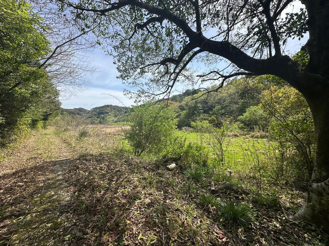 Vacation Home Land for Sale in Isahaya, Nagasaki - Thumbnail 2