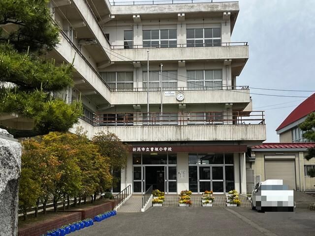 Residential Land for Sale in Nishikan-ku, Niigata – 331.39 sqm - Thumbnail 4