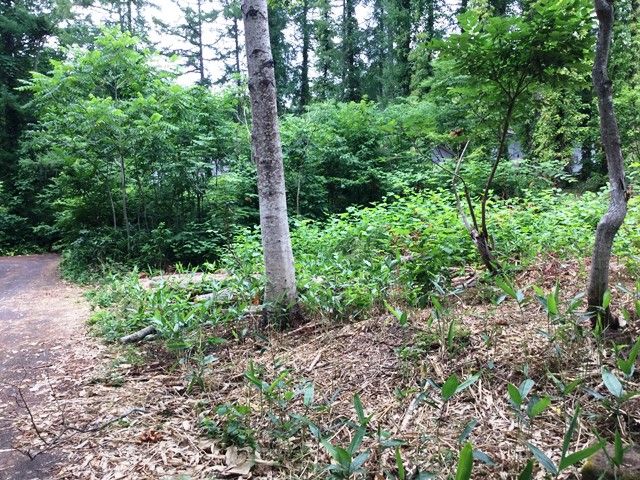 Land for Sale in Rankoshi, Niseko - HIGHGRADE VILLA Yuri 121 - Thumbnail 2