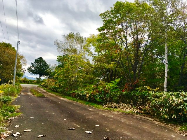 Land for Sale in Rankoshi, Hokkaido - 566 sqm Forest Plot - Thumbnail 4