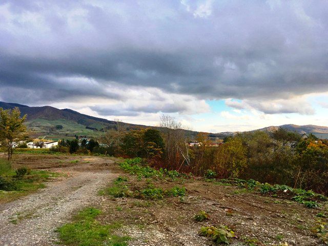 Rusutsu Land 726: 2,402 sqm Residential Plot for Sale in Hokkaido - Thumbnail 2