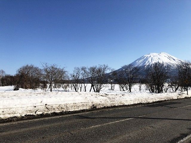 Land for Sale with Mount Yotei Views in Niseko, Hokkaido - Thumbnail 2