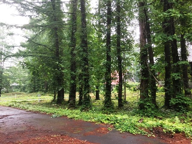 Land for Sale in Niseko's Yuri Area - HighGrade Villa Yuri 128 - Thumbnail 4
