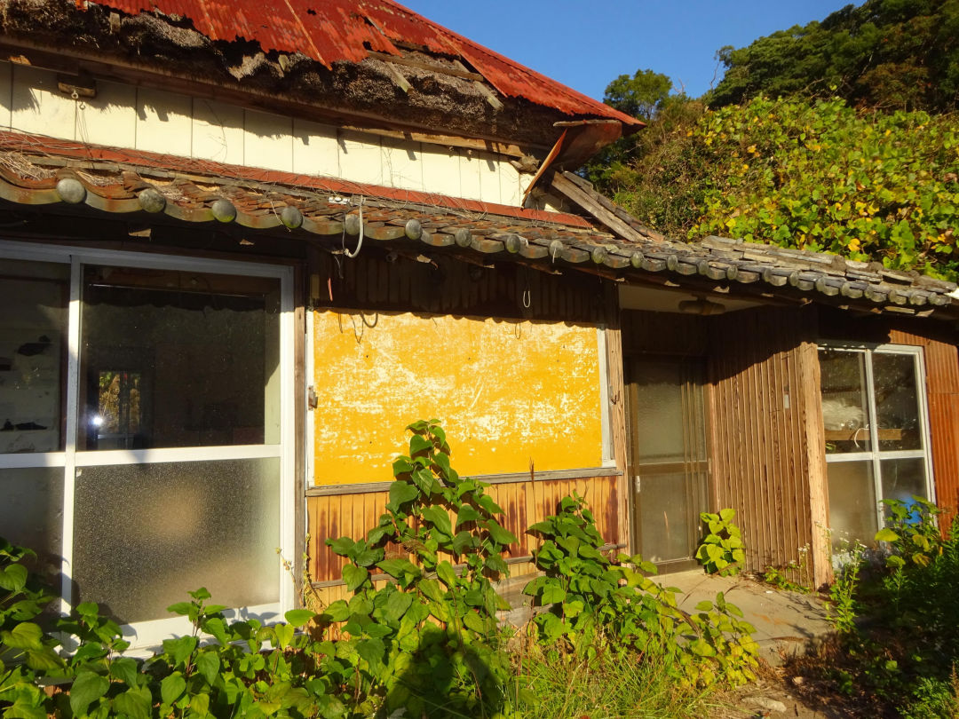Land for sale in Isahaya, Nagasaki - 1433.85㎡ with existing structure - Thumbnail 2