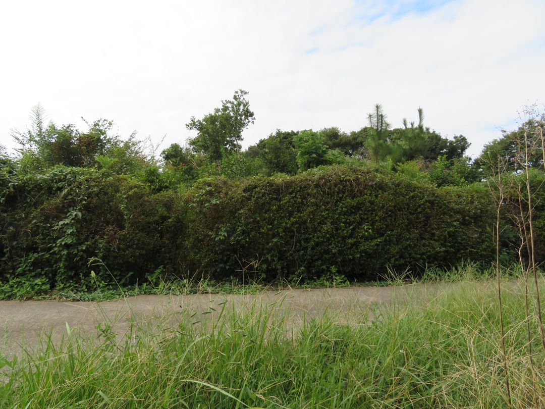 880 sqm Residential Land for Sale in Unzen City, Nagasaki - Thumbnail 4