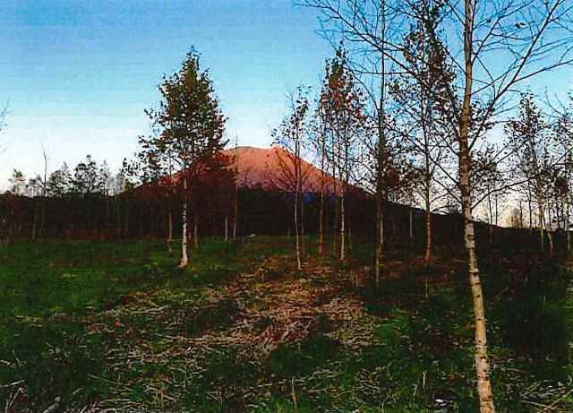 35,052 sqm Land for Sale in Niseko's Kondo Area, Hokkaido - Thumbnail 4