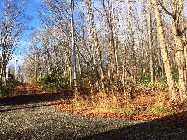 Land for Sale in Niseko - 658 sqm Plot Near Niseko Village Ski Resort - Thumbnail 2